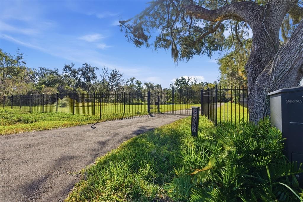 2506 HAWK GRIFFIN Road, PLANT CITY, FL 33565 photo 5