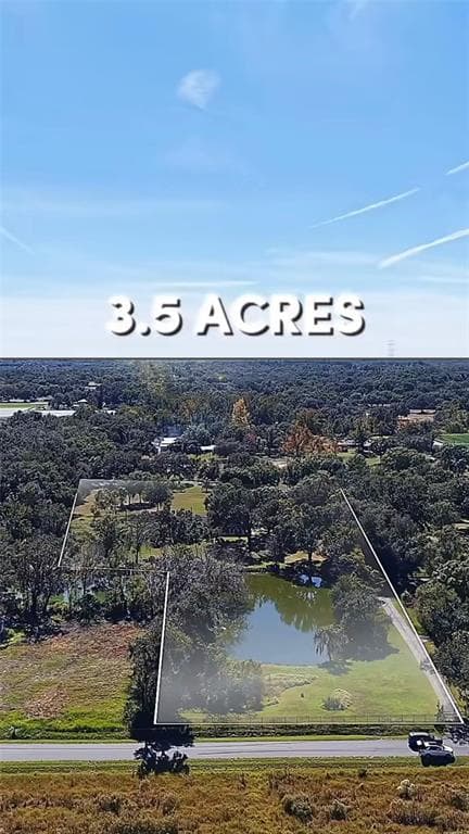 2506 HAWK GRIFFIN Road, PLANT CITY, FL 33565 photo 4