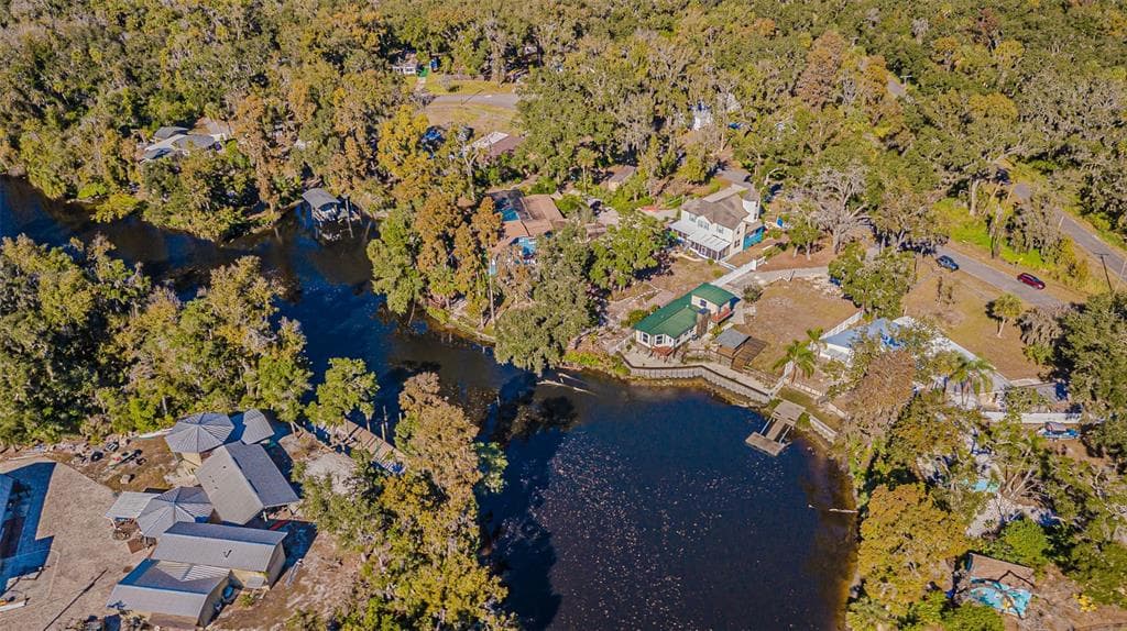 3918 ALAFIA BOULEVARD, BRANDON, FL 33511 photo 3