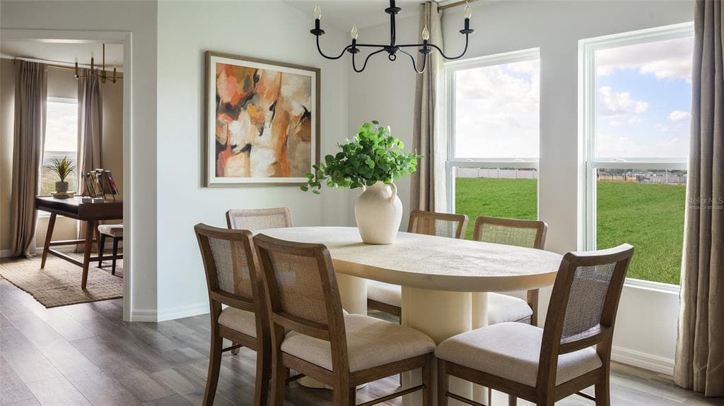 9250 PAVILION SHADE DRIVE, ZEPHYRHILLS, FL 33541 photo 3