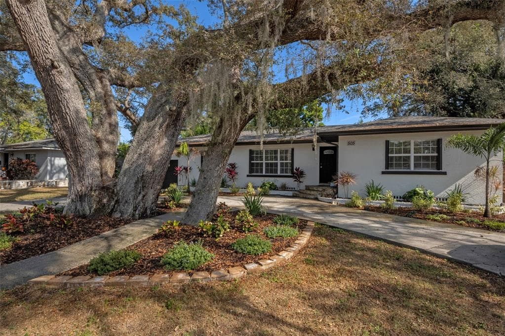 505 CASLER AVENUE, CLEARWATER, FL 33755 photo 5