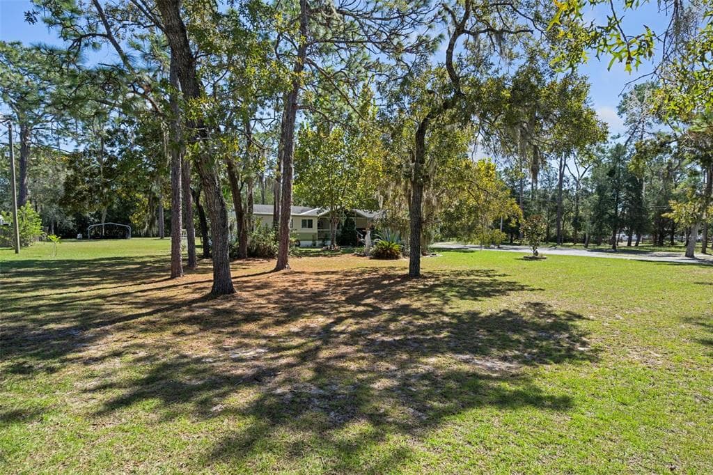 4641 SLASH PINE AVENUE, HOMOSASSA, FL 34446 photo 2