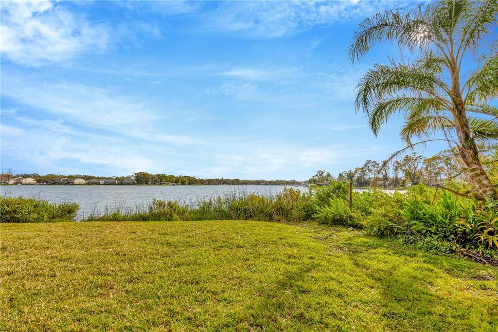 7201 HODGEWOOD Court, TAMPA, FL 33614 photo 2