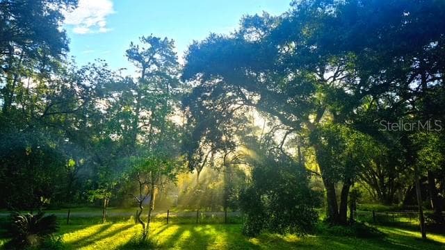 5043 GOODWIN Road, BROOKSVILLE, FL 34601 photo 3