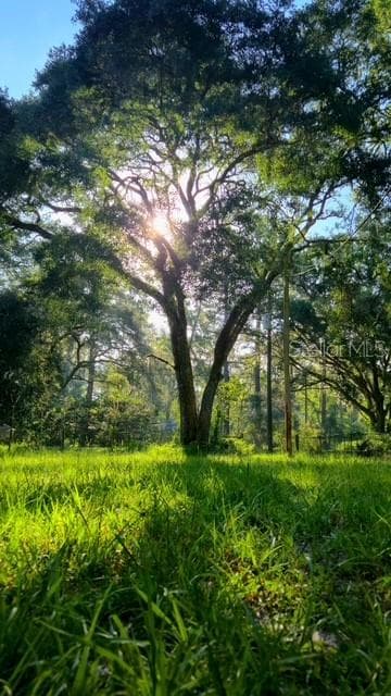 5043 GOODWIN Road, BROOKSVILLE, FL 34601 photo 4