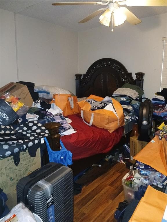 4031 TUMBLE WOOD Trail Unit 204, TAMPA, FL 33613 photo 2