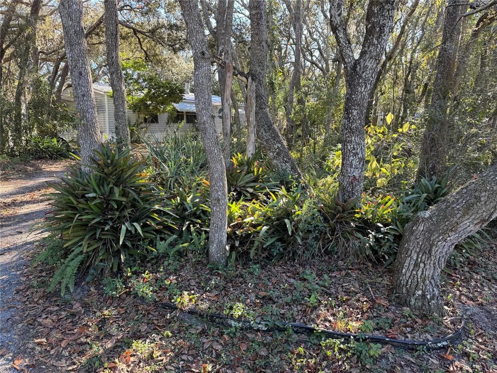 13218 VIVIAN Lane, HUDSON, FL 34669 photo 4