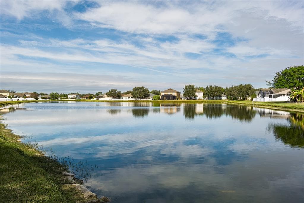 2252 COLVILLE CHASE DRIVE, RUSKIN, FL, 33570 photo 3