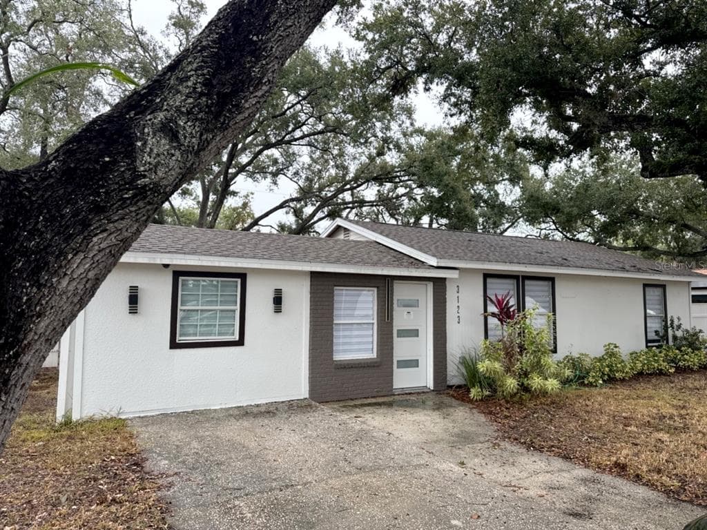 3123 NAPOLEON AVENUE, TAMPA, FL 33611 photo 2