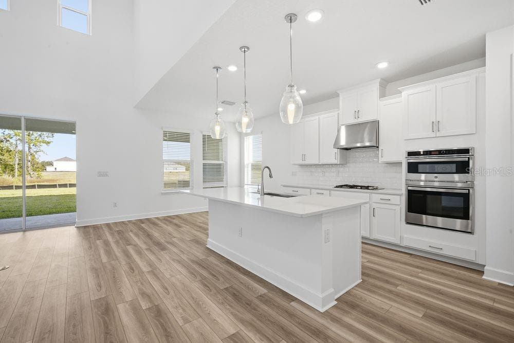 1546 TRAILHEAD LANE, ZEPHYRHILLS, FL 33541 photo 4