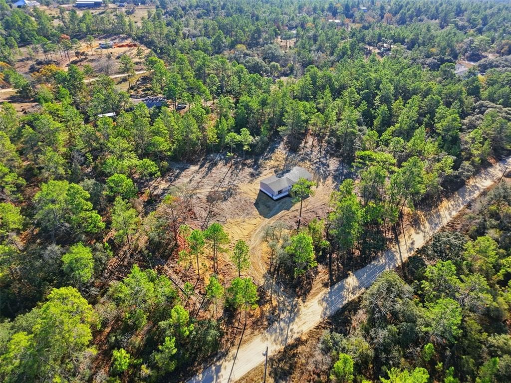 6653 ZIRCON POINT, DUNNELLON, FL 34433 photo 4