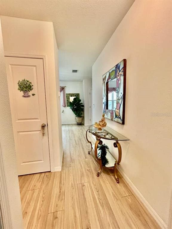 10214 MANGROVE WELL ROAD, SUN CITY CENTER, FL 33573 photo 5