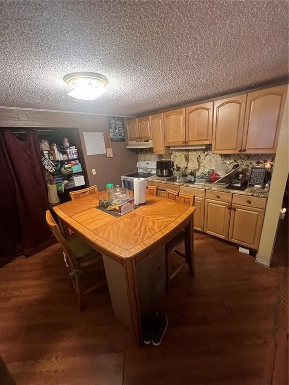 6006 VEL STREET, WIMAUMA, FL 33598 photo 5