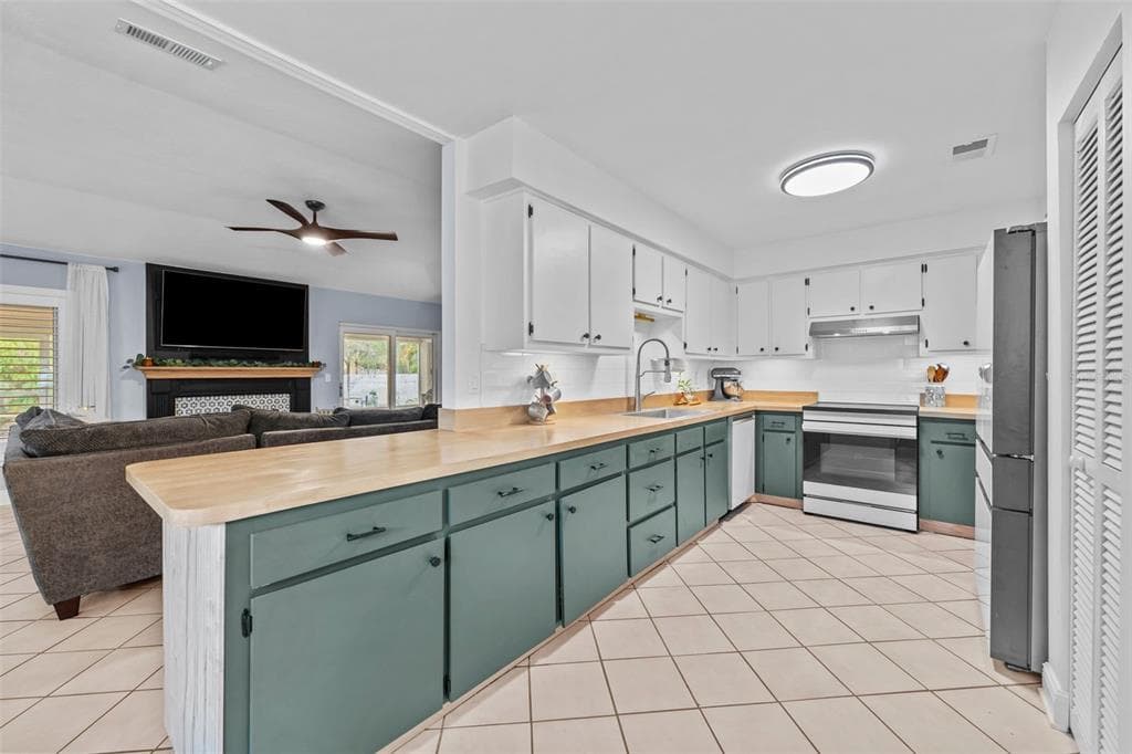 15102 SPRINGVIEW STREET, TAMPA, FL 33624 photo 3