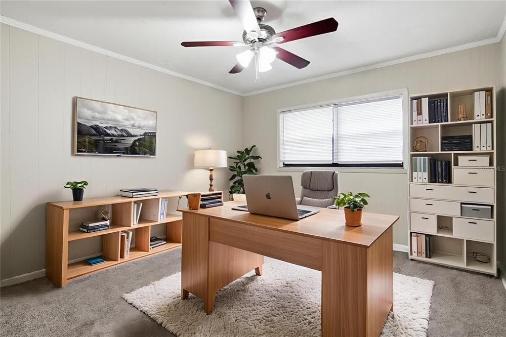 405 PARK RIDGE AVENUE, 405 PARK RIDGE Avenue, TEMPLE TERRACE, FL 33617 photo 4