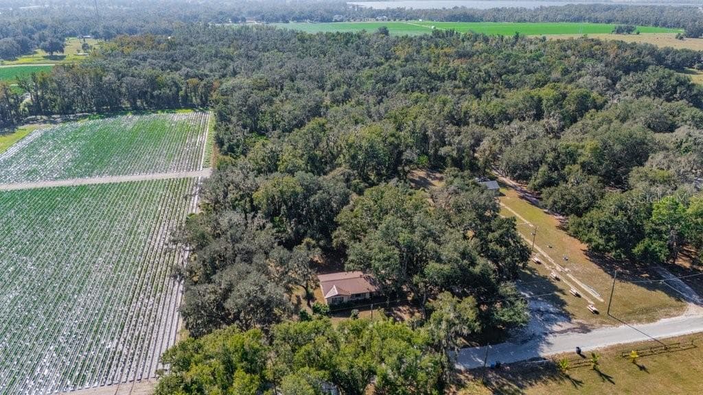 415 HAL COLDING ROAD, LITHIA, FL 33547 photo 5