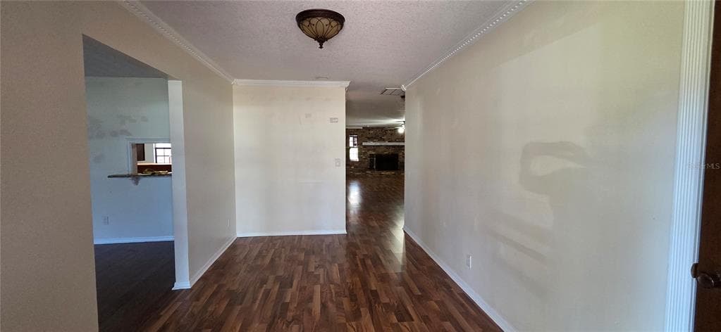 1702 MILLER ROAD, VALRICO, FL 33594 photo 5