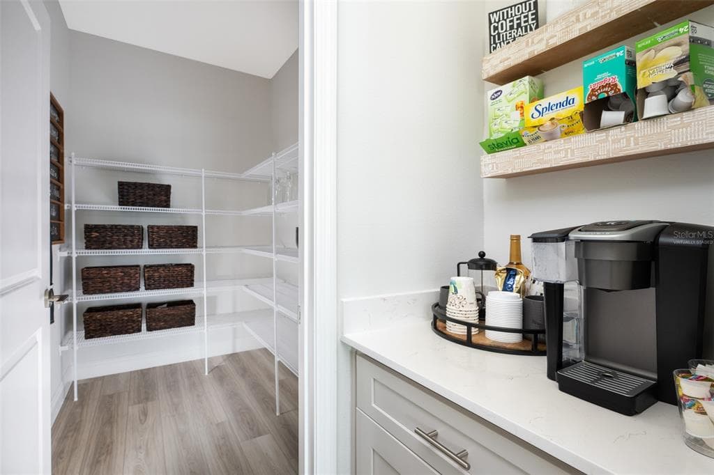 33485 TWILIGHT SEA Place, DADE CITY, FL 33525 photo 4