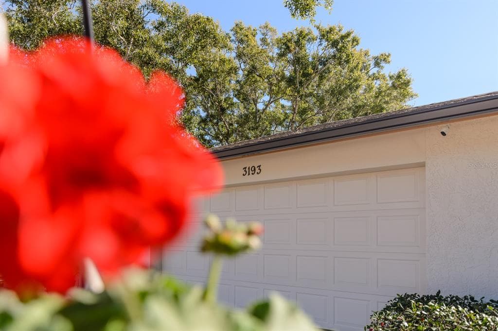 3193 SANDY RIDGE DRIVE, CLEARWATER, FL 33761 photo 2