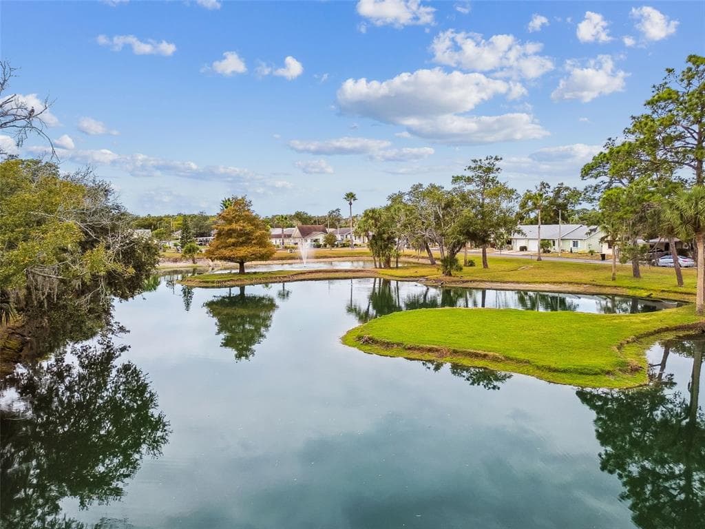 6345 EMERSON DRIVE, NEW PORT RICHEY, FL 34653 photo 3