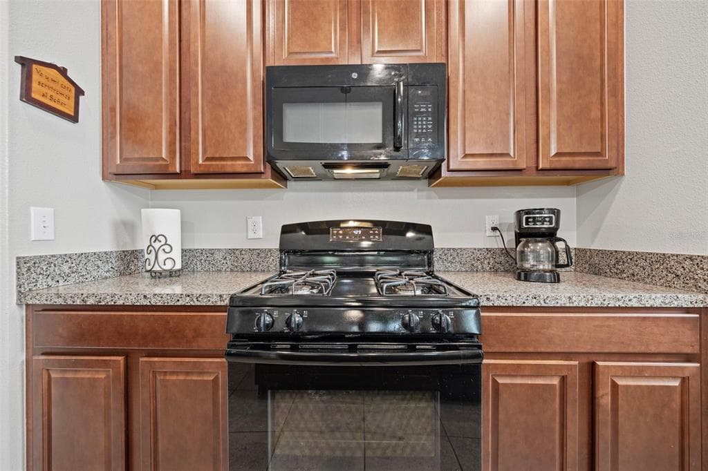 21362 WISTFUL YEARN DRIVE, LAND O LAKES, FL, 34637 photo 4