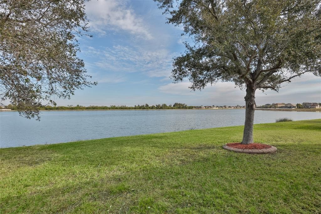 823 SEMINOLE SKY Drive, RUSKIN, FL 33570 photo 5