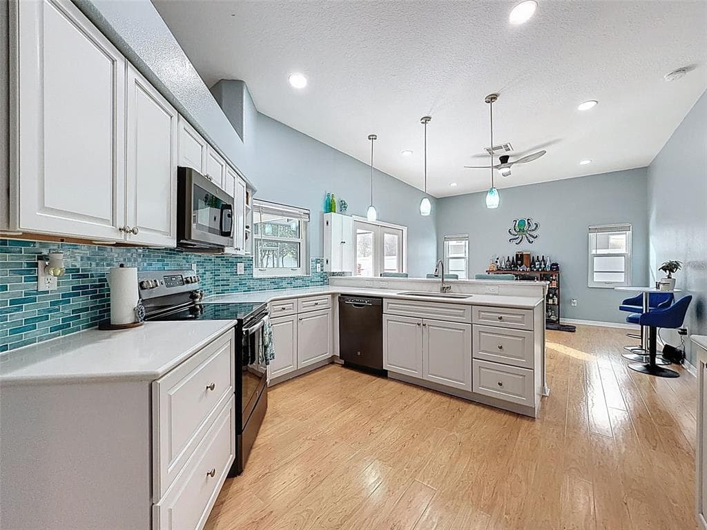 724 CYPRESS PARK AVENUE, TARPON SPRINGS, FL 34689 photo 3