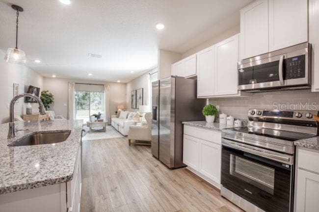 31305 ALBARINO DRIVE, BROOKSVILLE, FL 34602 photo 4