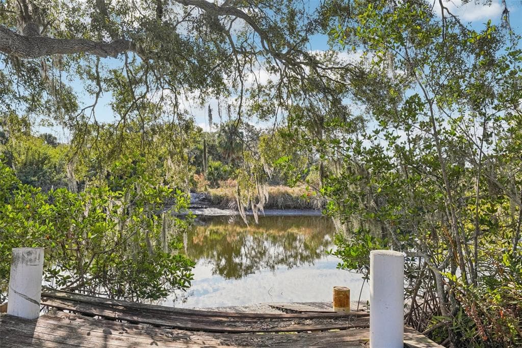 10826 TWIN PALMS RANCH ROAD, GIBSONTON, FL 33534 photo 2