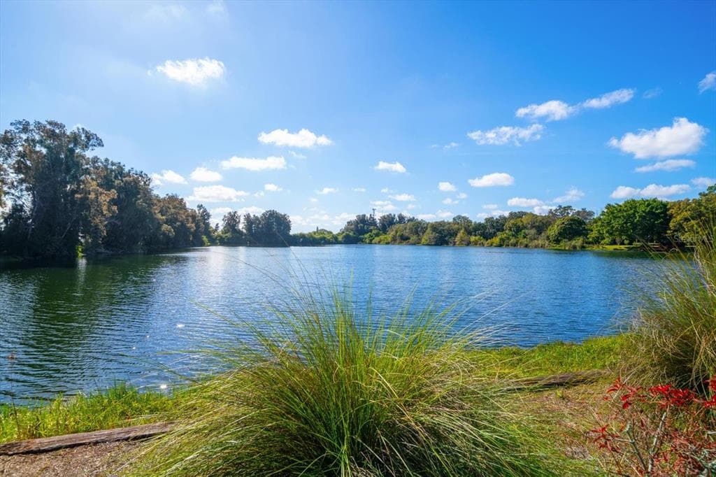 2402 PINE HAMMOCK, CLEARWATER, FL 33764 photo 3