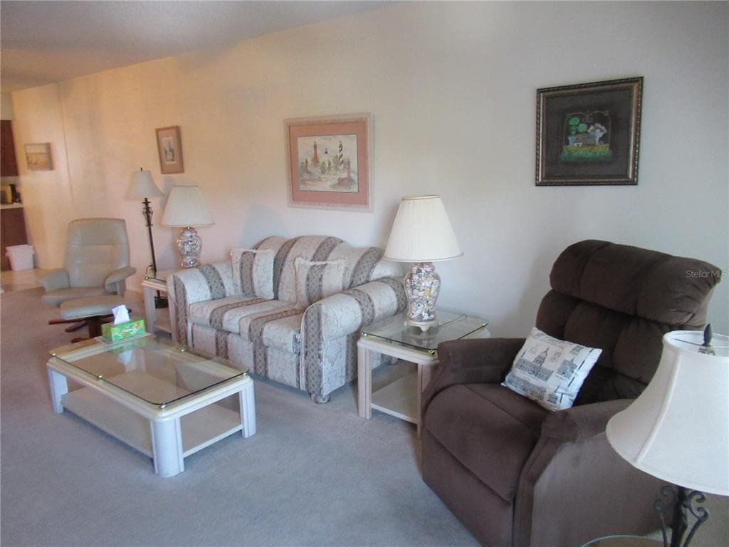 2435 SUMATRAN WAY Unit 51, CLEARWATER, FL 33763 photo 4