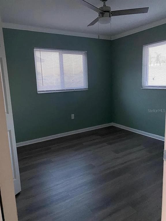 3115 WINCHESTER DRIVE, DUNEDIN, FL 34698 photo 4