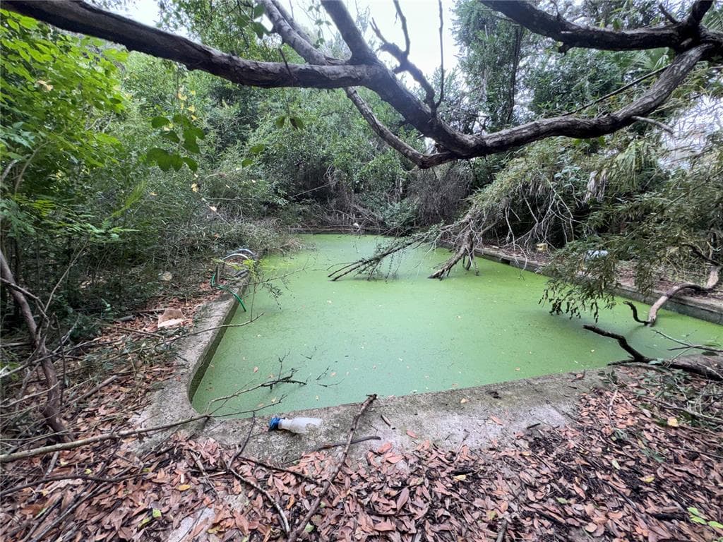 12706 53RD STREET, TEMPLE TERRACE, FL 33617 photo 2