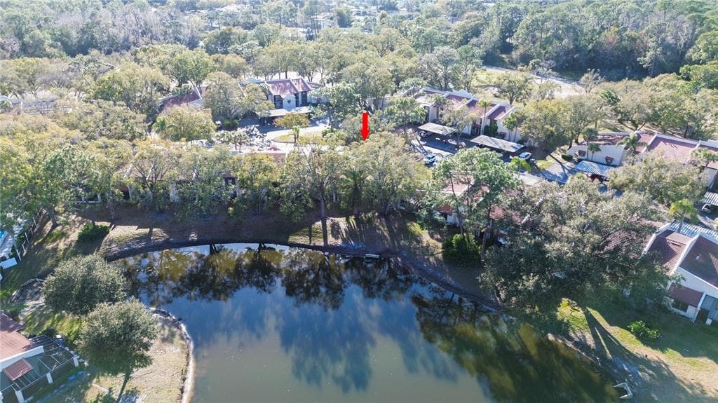 3505 TARPON WOODS BOULEVARD Unit I-406, PALM HARBOR, FL 34685 photo 4