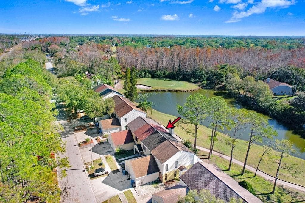 5129 NORTHDALE Boulevard, TAMPA, FL 33624 photo 3