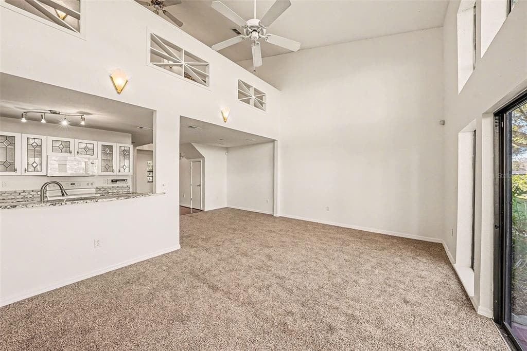 4207 BRENTWOOD PARK Circle, TAMPA, FL 33624 photo 5