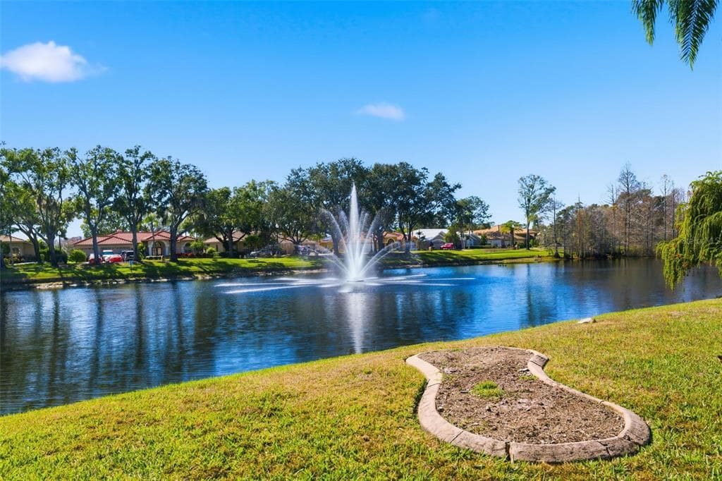 3150 STERLING STREET, TARPON SPRINGS, FL 34688 photo 4