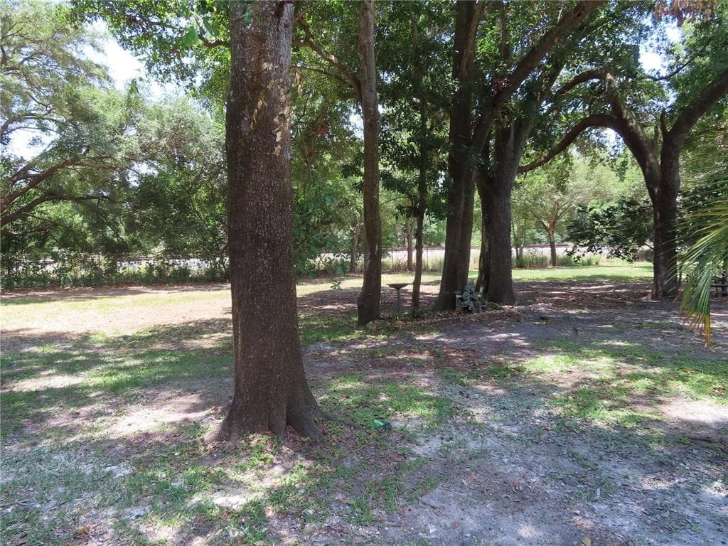 1167 MISSION CIRCLE Unit 53E, CLEARWATER, FL 33759 photo 3