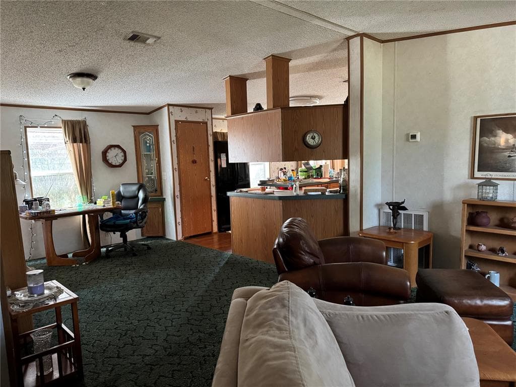 6704 IKE SMITH Road, PLANT CITY, FL 33565 photo 5