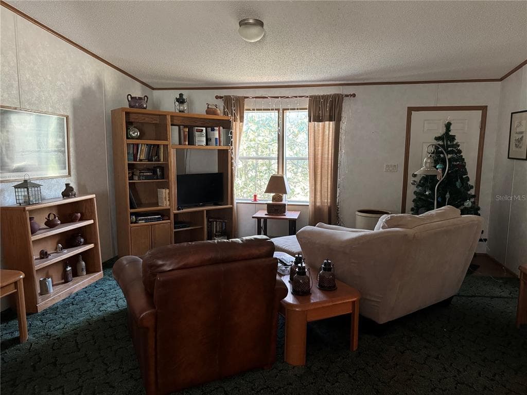 6704 IKE SMITH Road, PLANT CITY, FL 33565 photo 4