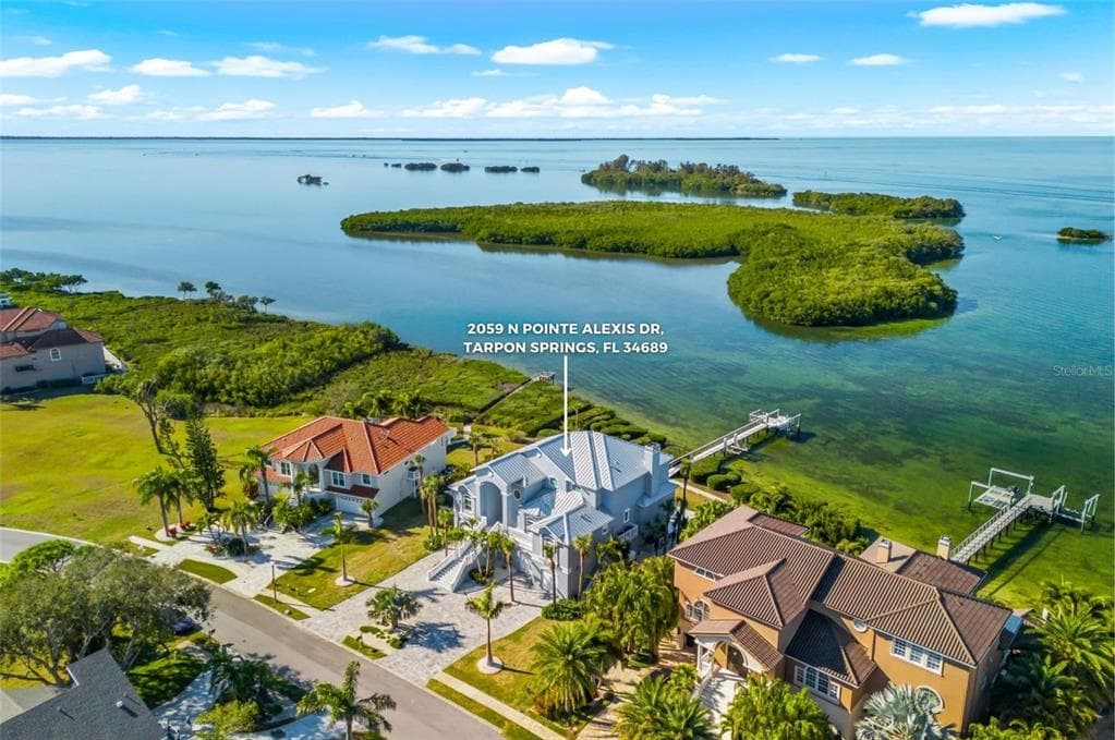 2059 POINTE ALEXIS DRIVE, TARPON SPRINGS, FL 34689 photo 2