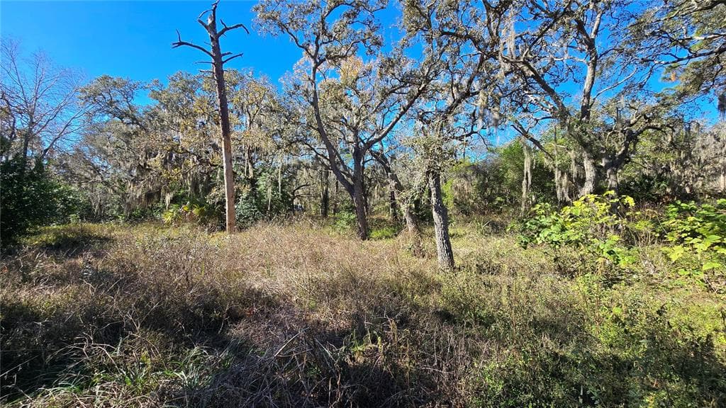 15609 BECKY LANE, HUDSON, FL 34667 photo 2