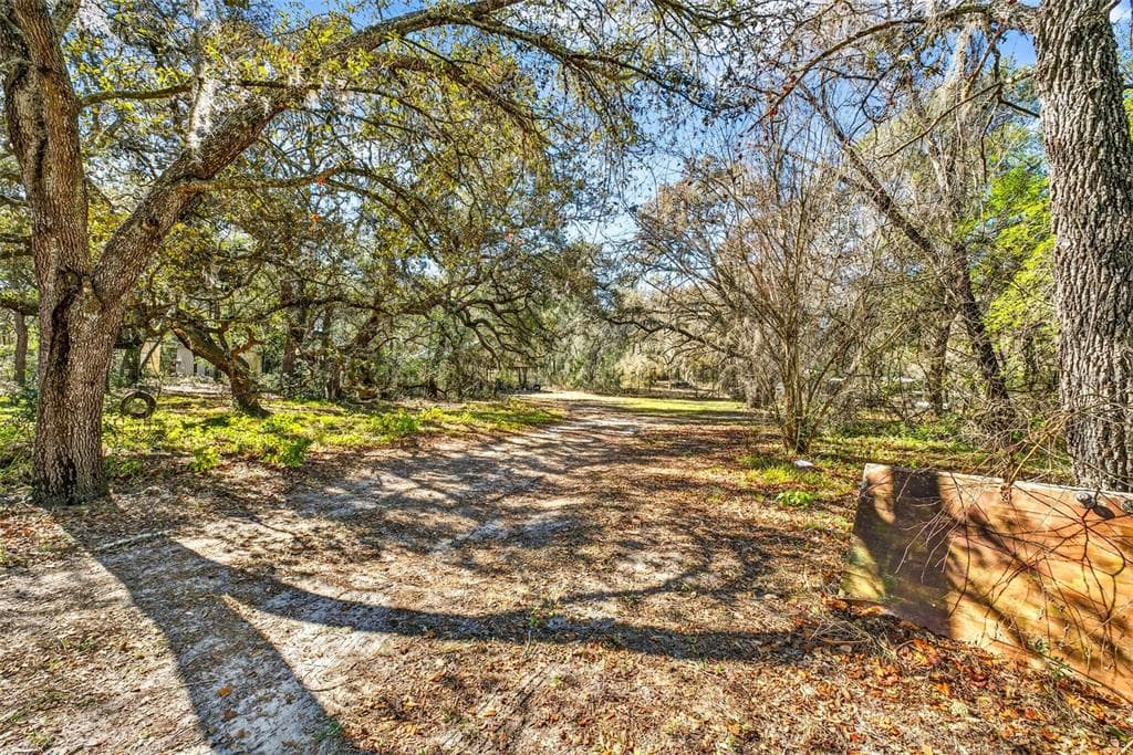 16624 HELEN K DRIVE, SPRING HILL, FL 34610 photo 3