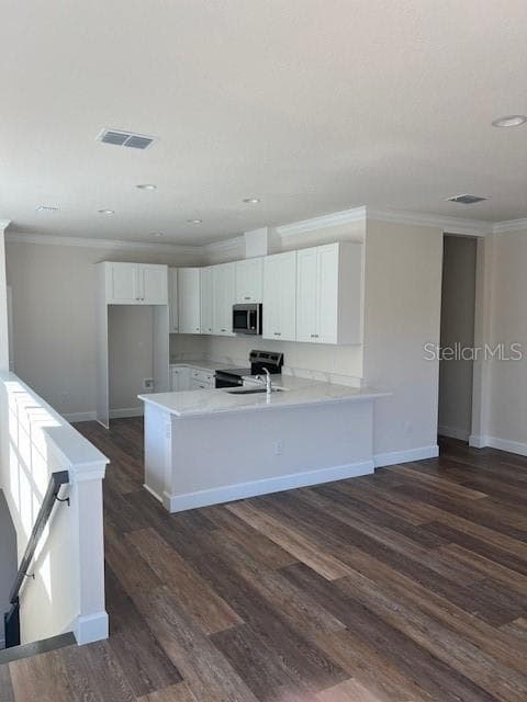 5733 DESERT ROSE PLACE, TAMPA, FL 33615 photo 5