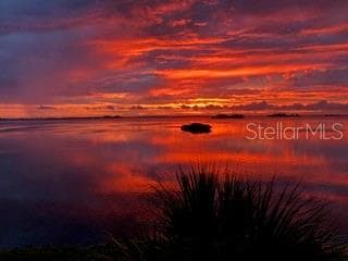 2700 BAYSHORE BOULEVARD Unit 11305, DUNEDIN, FL 34698 photo 5