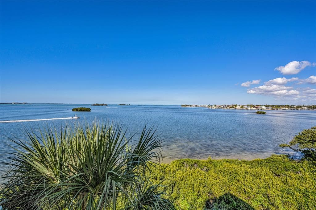 2700 BAYSHORE BOULEVARD Unit 11305, DUNEDIN, FL 34698 photo 4