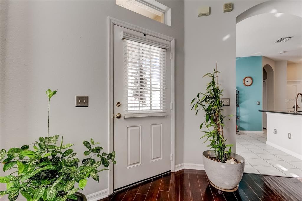 19131 LAKE AUDUBON DRIVE, TAMPA, FL 33647 photo 4