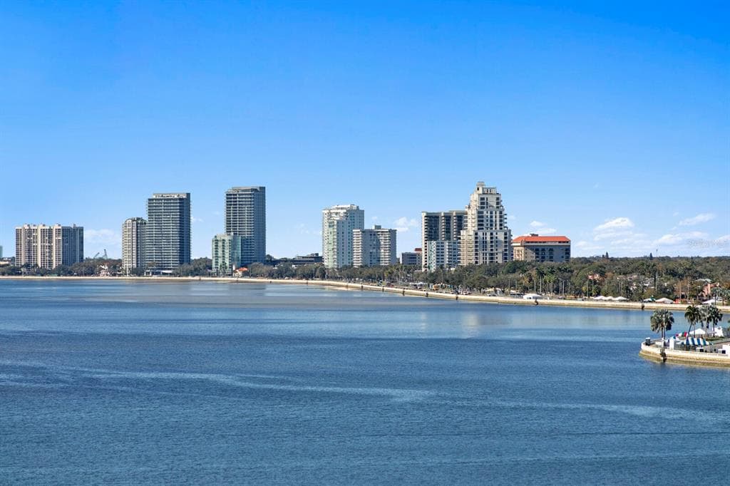 2 ADALIA AVENUE Unit 1002, TAMPA, FL 33606 photo 4