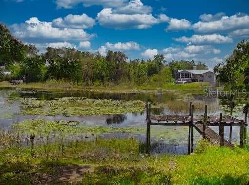 6340 LAND O LAKES, LAND O LAKES, FL 34638 photo 2