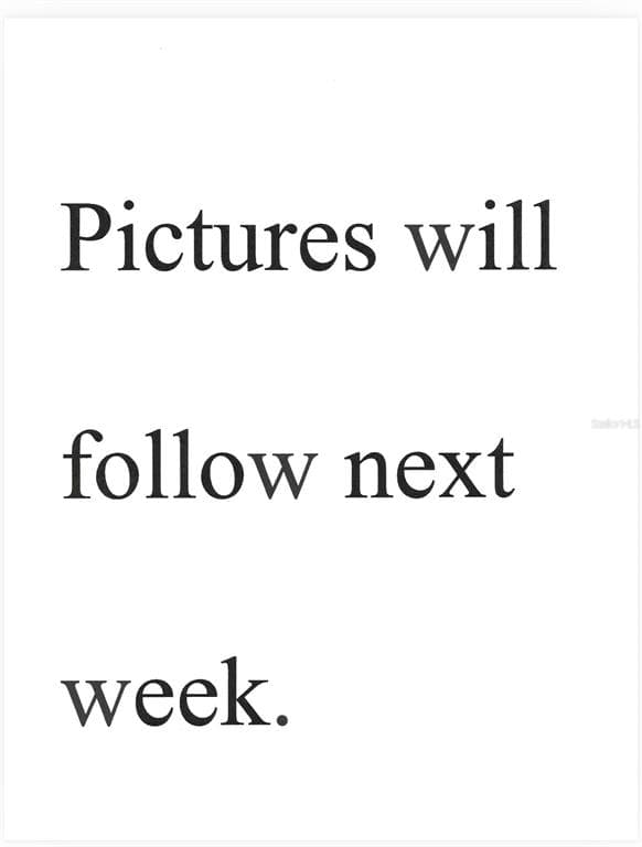 3557 OAK LAKE DRIVE, PALM HARBOR, FL 34684 photo 5